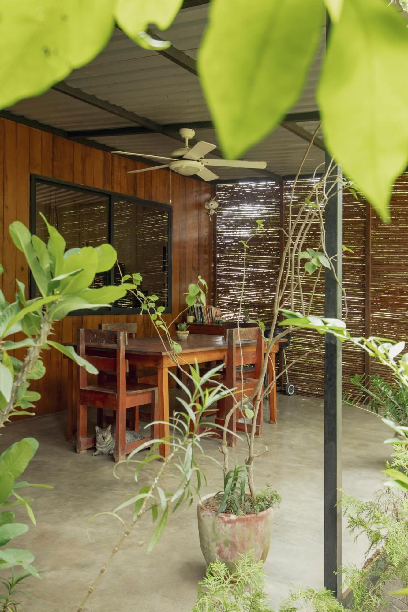 Mola Mola Surf Popoyo Bed & Breakfast Ngoại thất bức ảnh
